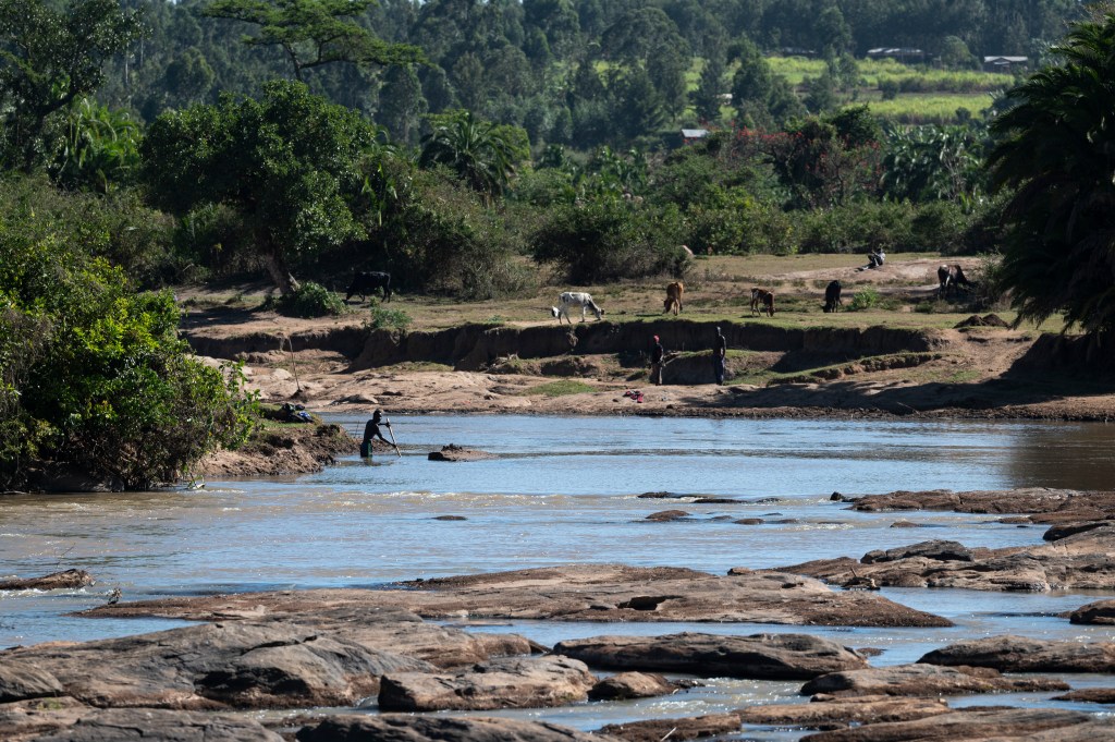 A river scene showing a person standing in the water and others on the shore, surrounded by greenery and livestock.